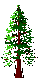 TreeLogo.gif (1413 bytes)