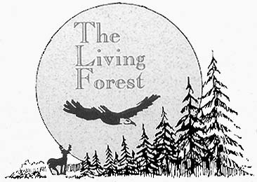 Living_Forest.JPG (29667 bytes)