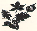 Leaves.jpg (14046 bytes)